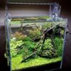 SUNSUN HRG-380 29L Synchronized Desktop Aquarium