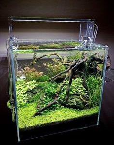 SUNSUN HRG-380 29L Synchronized Desktop Aquarium