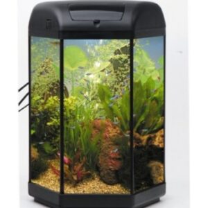 Aquael Hexa Set 60 Aquarium Hexagonal Fish Tank Set